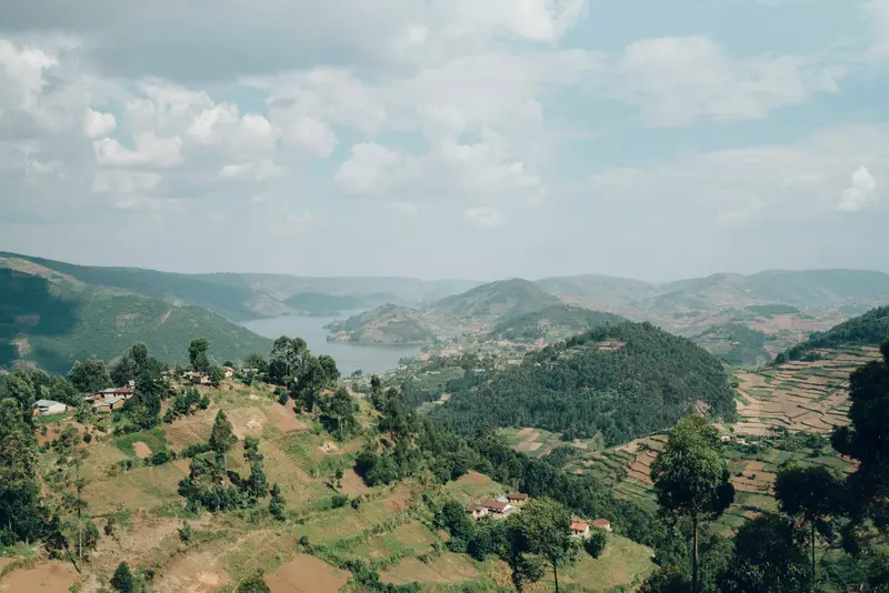 Terraced hillsides in the Kigezi highlands